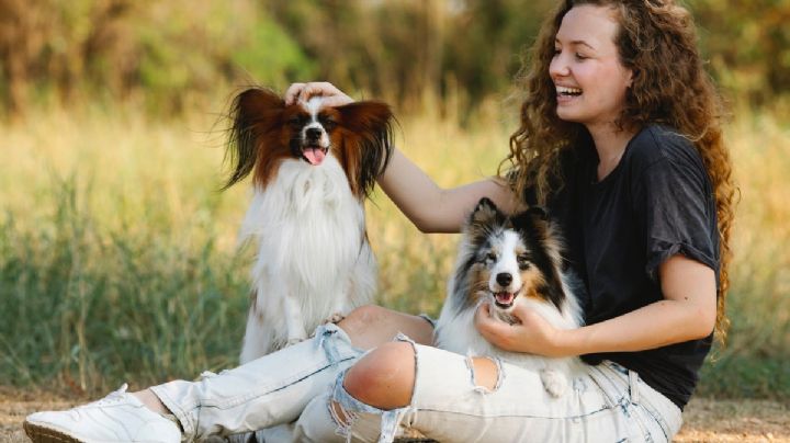 5 razas de perros más activas y juguetonas: tendrás que hacer mucho ejercicio