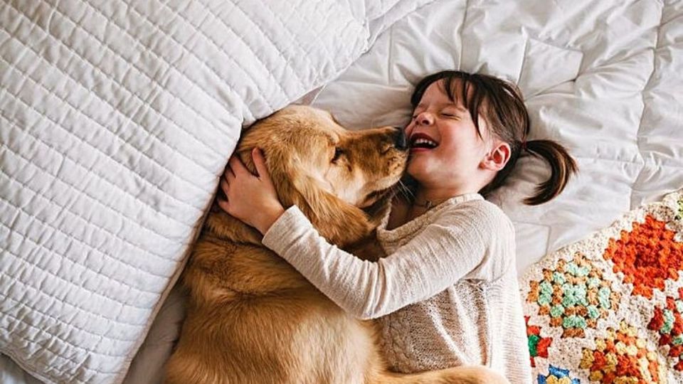 La mascota podría también vivir contras en su salud si duerme con tus hijos.