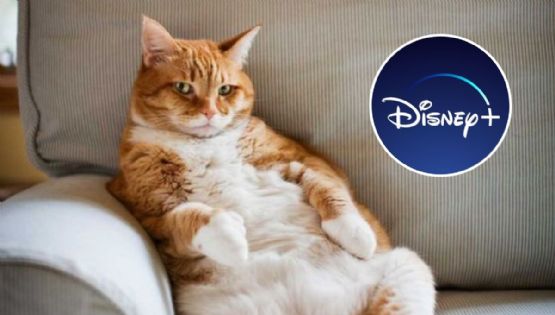 5 nombres de Disney para gatos con el significado más especial