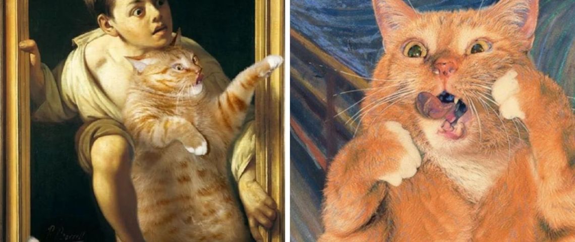 5 gatos famosos de internet que alegrarán tu día