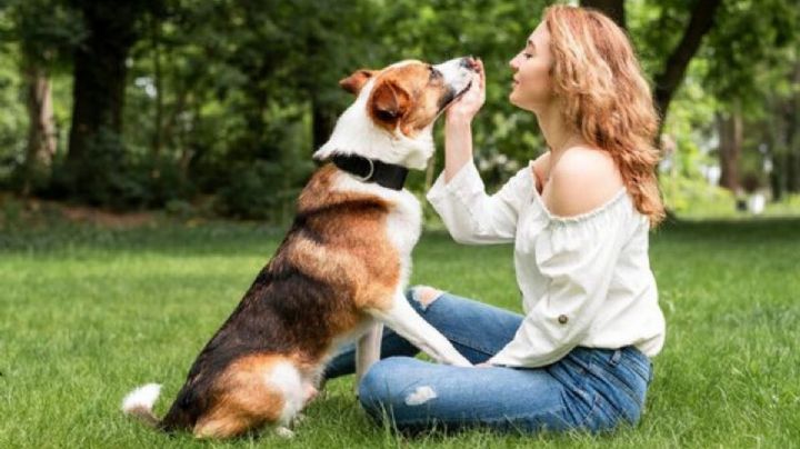 5 claves para que tu perrito viva más años contigo y sean muy felices