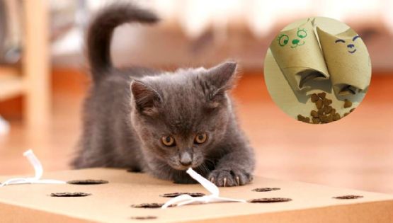 Juguetes para gato con material reciclado: 4 ideas sencillas y divertidas