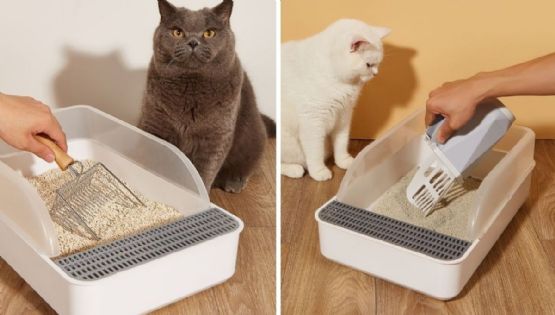 Cómo limpiar la arena del gato: el truco con bicarbonato para quitar el mal olor