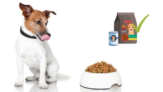 ¿Qué debe tener un alimento de perro para que sea bueno según los expertos?