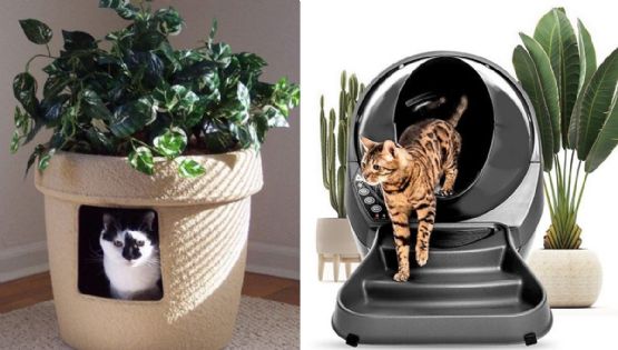 Gatos: ideas bonitas para decorar su arenero